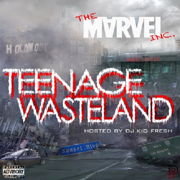 essay on teenage wasteland by anne tyler essay on teenage wasteland by anne tyler