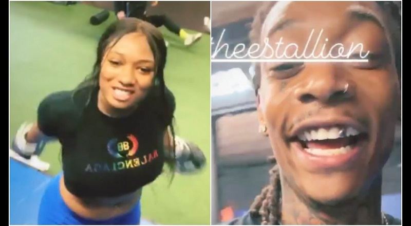 Wiz Khalifa quote about Megan Thee Stallion stinking down there is hoax