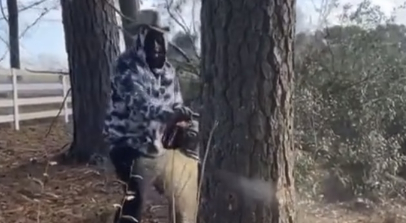 Rick Ross cuts down his own trees in his yard